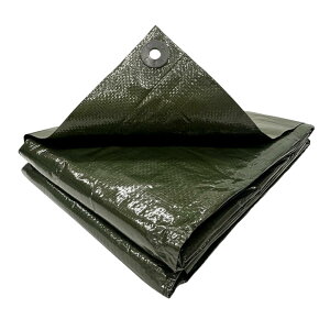 ylbgz^JCN#2500 ODO[V[g3.6m×5.4m 260GS211 h Ԍ W[V[g OhV[g ^[v