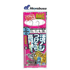 nuT(Hayabusa) 傢}Wh Ԃݓˈ܂ ړ2ib HD300 6/5-6-8