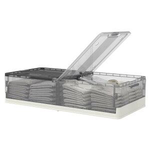 FLEXISPOT �x�b�h�����[�P�[�X �x�b�h�����[�{�b�N�X �ߑ��P�[�X ���[�P�[�X ���[�{�b�N�X �R���e�i �{�b�N�X �x�b�h�����[ STD �܂��ݎ� �ςݏd�ˉ\ �L���X�^�[�t�� �ߗގ��[ ���ގ��[ ��
