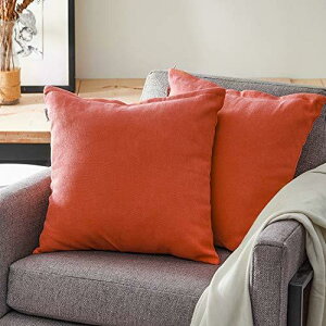 Topfinel NbVJo[ lۂ 45×45cm k  Ȗ n \t@w Jo[ zcJo[ IWbh 2ZbgiS18Fj