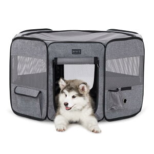 Petsfit  T[N ybgT[N p` hbOnEX ypbƊJĂgz L̎Y L̕؎ ܂肽 Lp bV t y [obOt ̃CeA