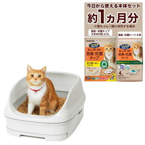 jƂgC L gC 1LEV[gt I[v^Cv CgO[O[ .co.jp  qL Lp VXegC