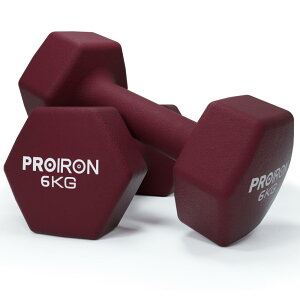 PROIRON �_���x�� �S�A���C 2�Z�b�g 6kg �_���x���Z�b�g �\�t�g�R�[�e�B���O�ŋؗ̓g���[�j���O