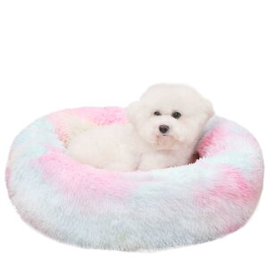 ZurZur L  NbV ybgxbh ӂӂ  薰 g h[ic Eh^  h ΍ 􂦂 ~ ӂӂLp \t@[ ʔN ybgpi