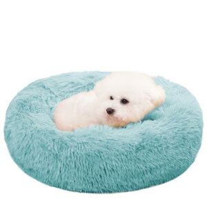 ZurZur L  NbV ybgxbh ӂӂ  薰 g h[ic Eh^  h ΍ 􂦂 ~ ӂӂLp \t@[ ʔN ybgpi