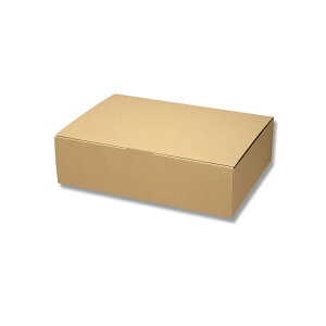 ヘイコー 箱 ダンボール ナチュラルボックス ECO・Z-9 28x40x11cm 10枚