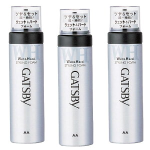 GATSBY(ギャツビー) スタイリングフォーム ウェット&ハード メンズ スタイリング剤 ツヤ ハード 185g×3個