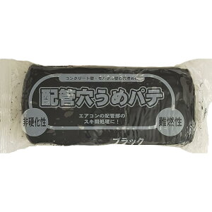 ƒ뉻w zǌ߃pe ubN 1 [U    ^ RN[g  GA RzǕ XL ϋv h d R