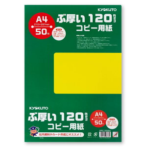 LNgEEA\VGCc LNgE ԌRs[p 120gsm A4 PPC120A4 50