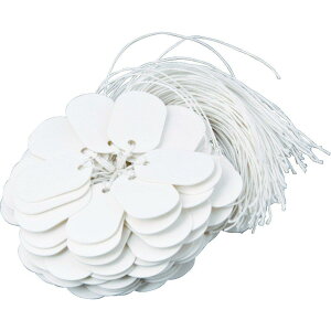 TRUSCO(gXR) D ^ 20×30mm 100 TFF-20×30yP[X̔z 