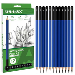 スケッチ鉛筆 12本セット - デッサン鉛筆 4H〜8B プロ仕様 - 芸術家向け グラファイト鉛筆 描画用 イ ラスト・デッサン・美術用画材