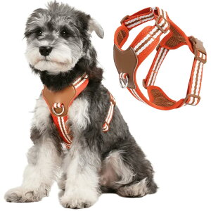 DICOCO n[lX ^^ȉd2-22.5kgjy h~ hbOn[lX S^pn[lX 90%ȏ ėp  n[lX Up IWF S