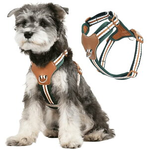 DICOCO n[lX ^^ȉd2-22.5kgjy h~ hbOn[lX S^pn[lX 90%ȏ ėp  n[lX Up O[ S