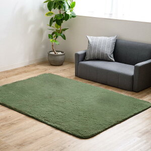 �A�C���X�v���U(IRIS PLAZA) ���O �J�[�y�b�g �V���M�[���O �z������ �h�� ����~�߉��H �I�[���V�[�Y�� �O���[�� 130×185 SGR-1318