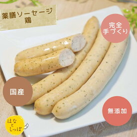 薬膳ソーセージ 犬 ソーセージ おやつ 無添加 犬おやつ ドッグフード 小型犬 大型犬 手作りごはん 手作りご飯 ごちそう 愛犬 猫 ギフト 愛犬家 プレゼント 誕生日 犬用ごはん 無添加ごはん 低脂肪 低脂質 コラーゲン 鶏むね肉 鳥軟骨 山芋 犬手作りフード 犬用手作りごはん