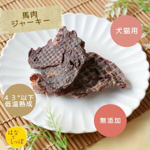 nԐgW[L[ 25g n W[L[  Y nW[L[ pn XCX wV[ n pW[L[ p   ̂ yV 育 ̉a gbsO 