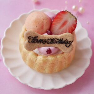  P[L a Y u nbs[v`Vbg v S S t[ p LpP[L L ^ sΏ  Nx[ ܈ N _ Mtg v[g lC 