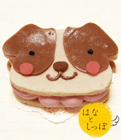 ジャックラッセル 犬用ケーキ ワンバーグ発酵ケーキ ジャックラッセルテリアみたいなタイプ 犬 ケーキ 誕生日 無添加 誕生日ケーキ さつま芋 猫 ケーキ 小型犬 鶏肉 愛犬 健康 ギフト プレゼント おやつ 生乳100％ヨーグルト 小型犬 猫 ギフト お祝い プレゼント