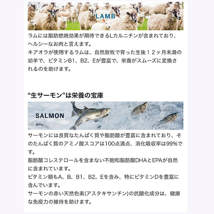 キアオララムレバー2 5kg 年末のプロモーション特価