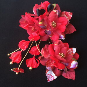  Ǝ  l U ܂ݍ׍H  g _ 吳} _  a   2_ Zbg ^   S[h  nhCh gR  p[ wAANZT[ V