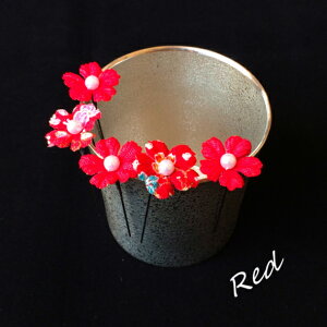 y5{Zbgz l  p[   U Ǝ    R   S[h h _ ~ ߂ 5{ Zbg ^ ܂ݍ׍H lC  nhCh g _ wAANZT