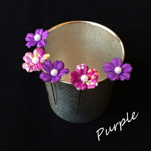 y5{Zbgz l  p[   U Ǝ    R   S[h h _ ~ ߂ 5{ Zbg ^ ܂ݍ׍H lC  nhCh g _ wAANZT