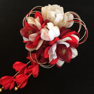 a  l U p[   Ǝ  ܂ݍ׍H    sN _  ߂ { ^  nhCh g _ gR  h   lC ʔ wAA