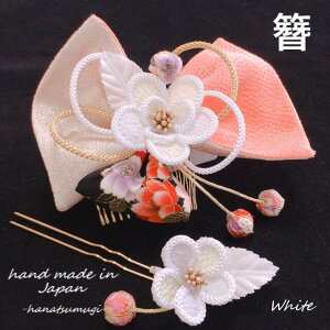  Ǝ  { l U  ܂ݍ׍H _ ߂׍H  { sN 񂴂 2_ Zbg ʂ ^  F  S[h  nhCh gR g _  