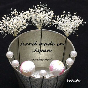 hCt[ ݑ  l a ꒅ U  ܎O LbY q Ǝ    _ JX~ ߂  15mm ʂ񂴂 Us 5{ Zbg ^ wAANZT[ wA