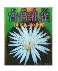 月下美人の仲間 交配種 孔雀サボテン 宵待孔雀 /よいまちくじゃく（5号） 多肉植物 【花なし・開花見込み株】【人気】