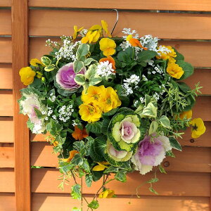  t{^̃nMOoXPbg񂹐A[-DX] MTCYtO rI  ߓ ߏ ߓ O   m  n{^ ɐ ԃAW