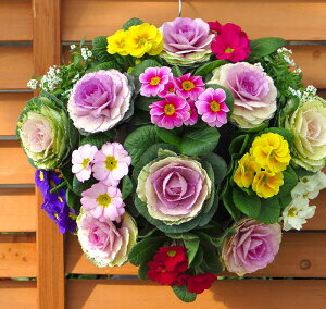  t{^̃nMOoXPbg񂹐A[VGt[] MTCYtO rI  ߓ ߏ ߓ O   m  n{^ ɐ ԃA