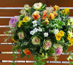  t{^̃nMOoXPbg񂹐A[v~A]LTCYtO rI  ߓ ߏ ߓ O   m  n{^ ɐ ԃA