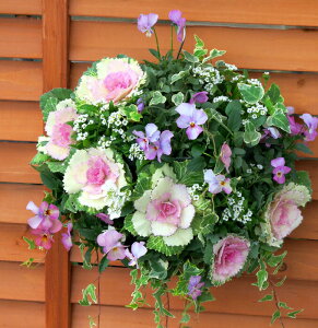  t{^̃nMOoXPbg񂹐A[-DX] MTCYtO rI  ߓ ߏ ߓ O   m  n{^ ɐ ԃAW