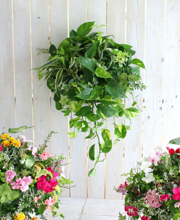 楽天市場 夏は半日陰 室内鑑賞を推奨 花うるるアレンジ 観葉植物のハンギングバスケット 寄せ植え Foliage Plants 夏 ギフト ガーデニング セット プランター 花 ミニ観葉 誕生日 限定 新築祝い インテリア おしゃれ 花うるる 花でうるおう毎日