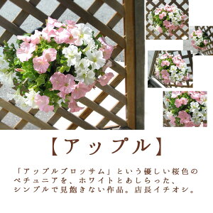 楽天市場 母の日 遅れてごめんね配送 ペチュニアのハンギングバスケット 寄せ植え レギュラーサイズ 母の日 寄せ植え プレゼント ギフト 鉢植え おしゃれ 珍しい 花 送料無料 21 苗 春 夏 寄せ植え おしゃれ 玄関 母の日ギフト 花うるる 花でうるおう毎日 楽天市場 母の日 遅れてごめんね配送 ペチュニアのハンギングバスケット 寄せ植え レギュラーサイズ 母の日 寄せ植え プレゼント ギフト 鉢植え おしゃれ 珍しい 花 送料無料 21 苗 春 夏 寄せ植え おしゃれ 玄関 母の日ギフト 花うるる 花でうるおう毎日