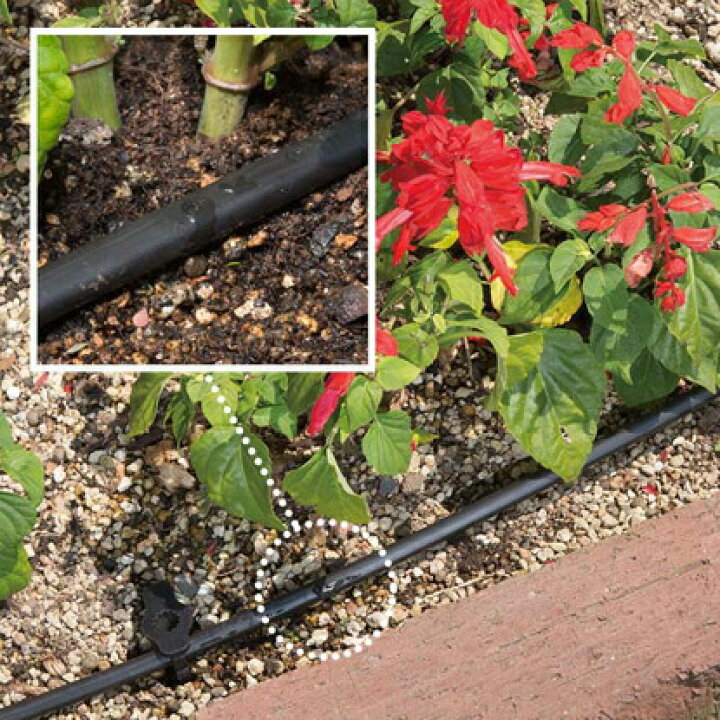 楽天市場 水やりスターターキットタイマー付 家庭菜園用 単4乾電池４本おまけつき 散水機 水やり 自動 タイマー 留守 花 帰省 旅行時などに 自動水やり器 水やり 散水タイマー 花うるる 花でうるおう毎日