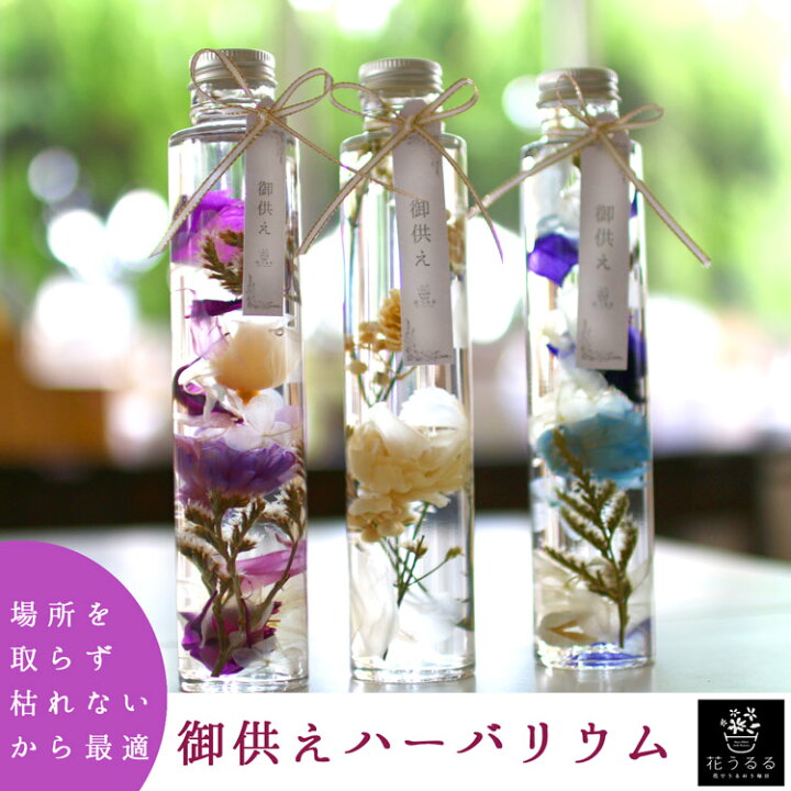 楽天市場 お供え ハーバリウム ３色から ハーバリウム お供え 仏花 プリザーブドフラワー 花 初盆 お盆 お彼岸 お供え物 お悔やみ 花うるる 日持ち ギフト ハーバリューム ハーバリュウム 花うるる 花でうるおう毎日