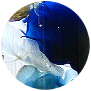 v[g[ Ԃ n[oE ] Iׂ5F( J[l[V hCt[ a yY  Mtg  i ` c  t[Mtg  vU[uht[ 