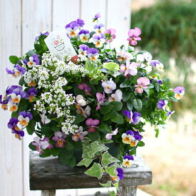 花の寄せ植え作品を始めハンギングバスケット ギャザリング ハーバリウム ギフトの店 花うるる 花でうるおう毎日