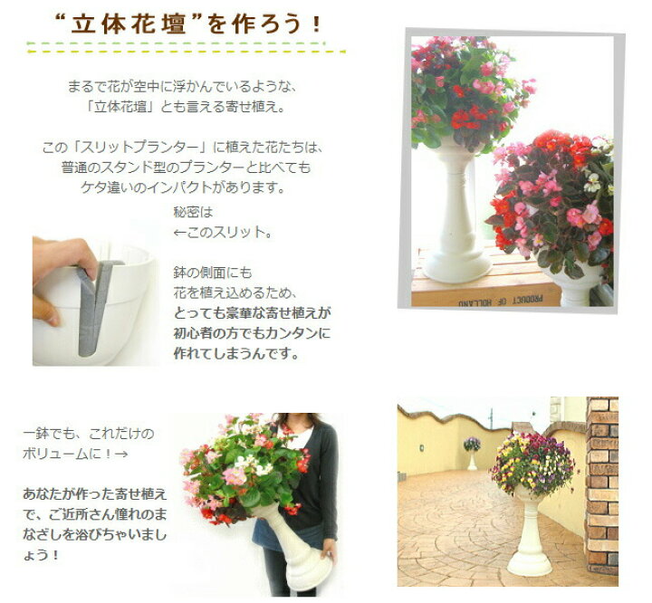 楽天市場 立体花壇を作ろう スリットプランター 寄せ植え 春 プランター 鉢 ガーデングッズ 寄せ植え 花うるる 花でうるおう毎日