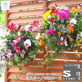 【花うるる ハンギング 寄せ植え 定期便】シルバーコース12か月 (サブスク ハンギングバスケット 春 夏 定期購入 セット ギフト 花 フラワー ベランダ 花飾り プレゼント 通販 鉢植え おしゃれ 送料無料 苗 玄関 ガーデニング お花 フラワーギフト 母 完成品 花苗 寄植え