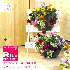 花 寄せ植え ギフトの人気商品 通販 価格比較 価格 Com