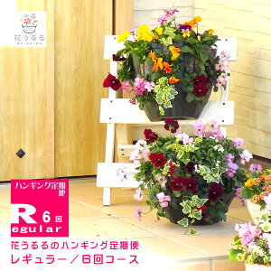 ガーデニング ハンギング バスケット 生花の人気商品 通販 価格比較 価格 Com