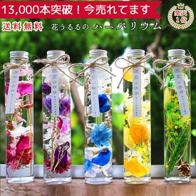 プレゼント[ 花うるる ハーバリウム ] 選べる5色( 送料無料 カーネーション ドライフラワー 誕生日 手土産 花 お花 ギフト 母 完成品 義母 祖母 おしゃれ フラワーギフト 妻 プリザーブドフラワー ハーバリュウム 瓶 お供え