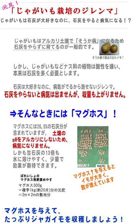 楽天市場 石灰の代わりに最適な肥料 多木化学 の リンサン肥料 マグホス 1 5kg 水溶性リン酸マグネシウム肥料 N P K Mg 0 17 0 3 5 稲 野菜 種芋 花 じゃがいも 果樹の元肥や調節肥に メール便不可 花うるる 花でうるおう毎日
