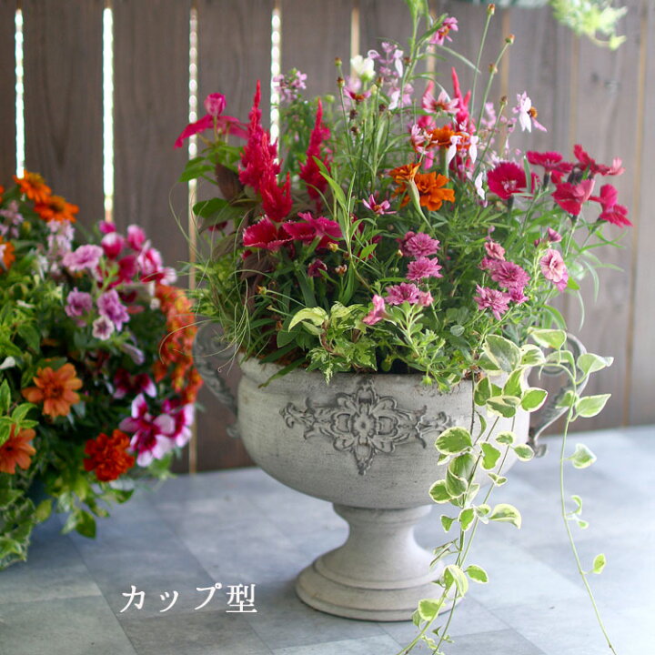 楽天市場】【送料無料】おまかせ ブリキプランター 寄せ植え 選べる3 