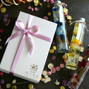  v[gyMtg{bNX3{ZbgzԂ n[oE ( J[l[V hCt[  a Mtg  i ` c  t[Mt