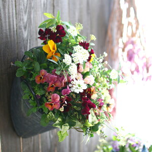 玄関 花 寄せ植えの人気商品 通販 価格比較 価格 Com