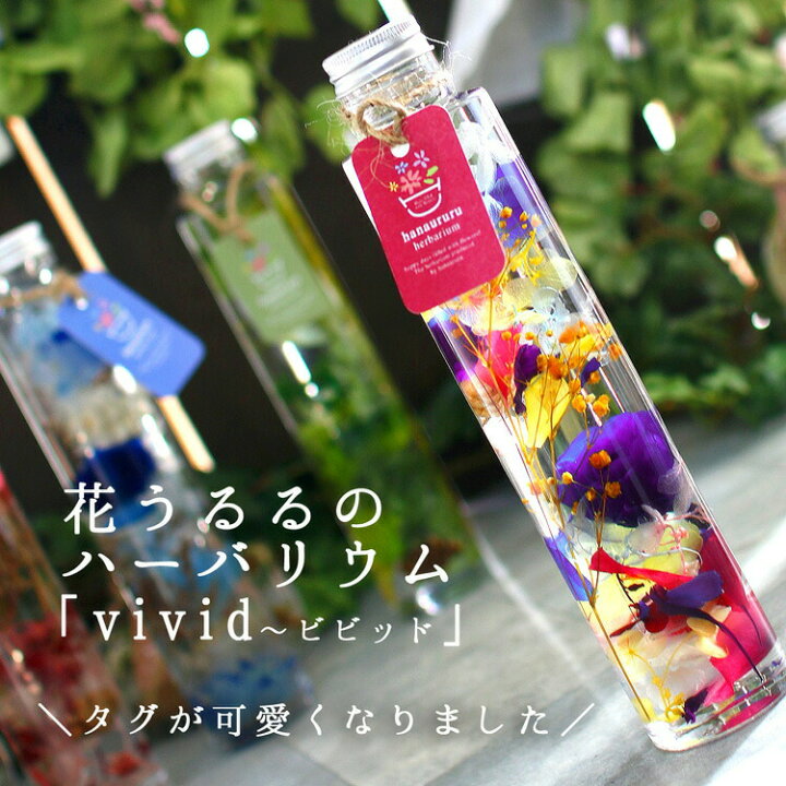 楽天市場】＼即日発送OK／プレゼント [Vivid ビビッド] 花うるる ハー 